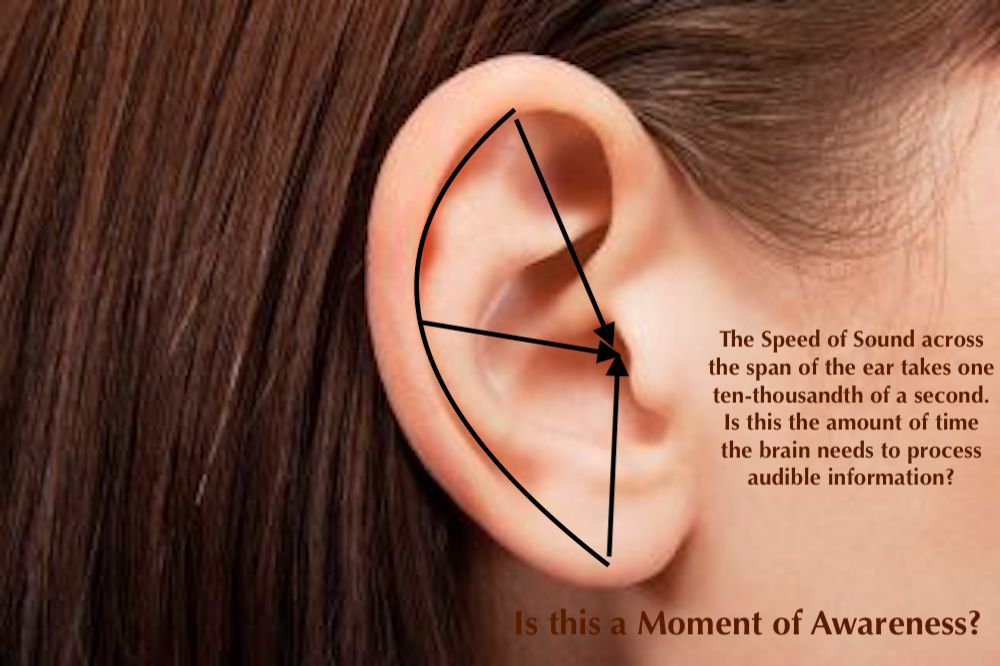 An Ear Full: A Moment of Awareness